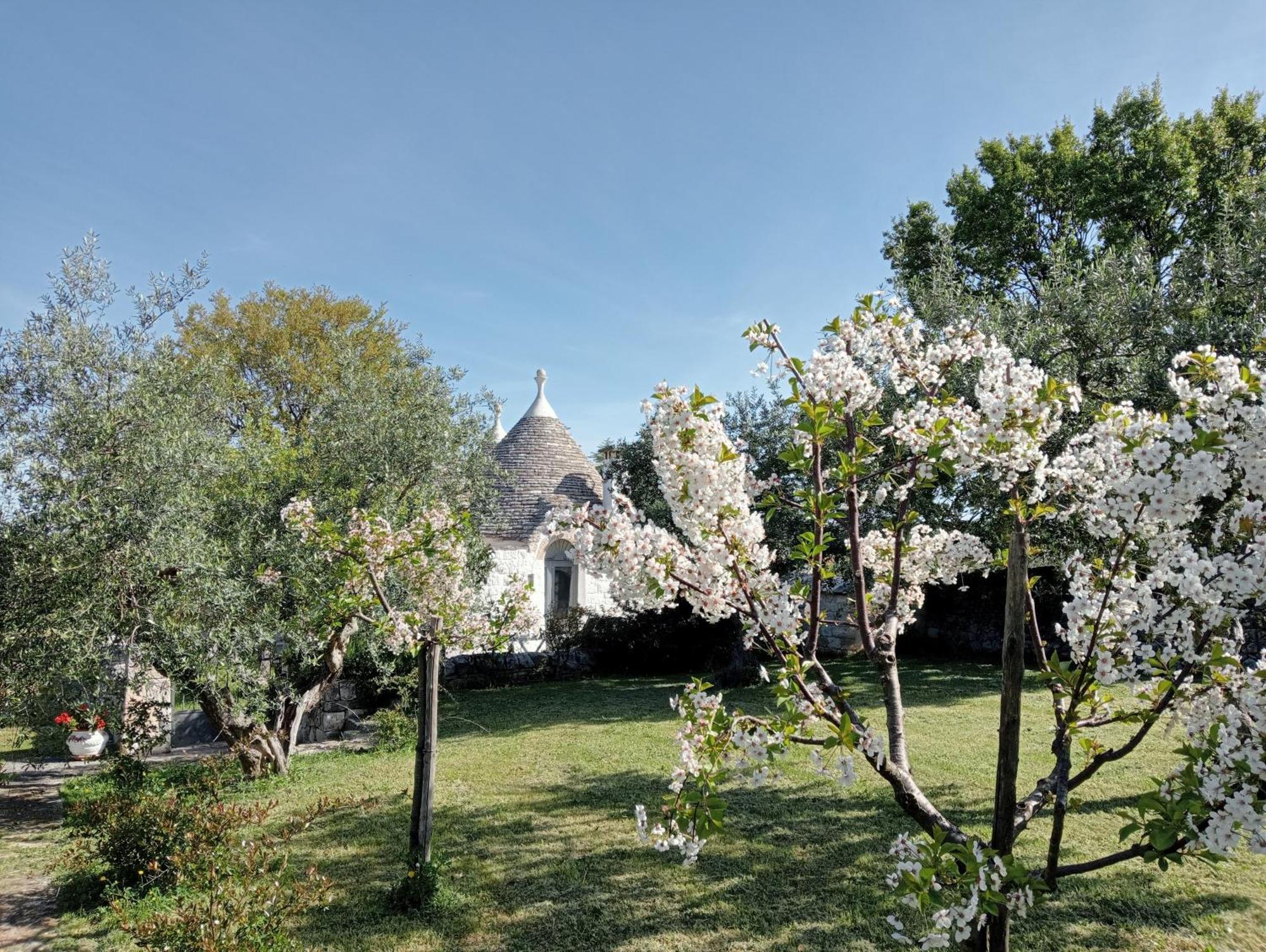 הוילה לוקורוטונדו Trulli Manuela מראה חיצוני תמונה